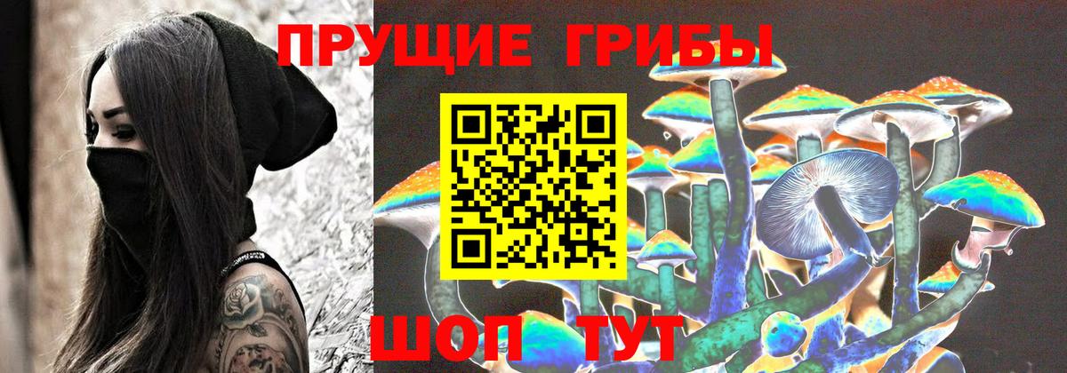 Галлюциногенные грибы GOLDEN TEACHER Пыть-Ях